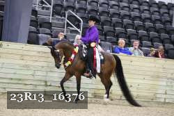 23R13_16376 thumbnail