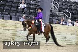 23R13_16378 thumbnail