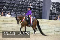 23R13_16379 thumbnail
