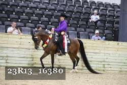 23R13_16380 thumbnail