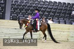 23R13_16381 thumbnail