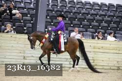 23R13_16382 thumbnail