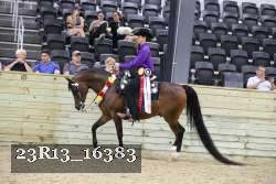 23R13_16383 thumbnail