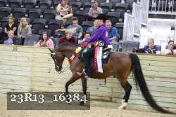 23R13_16384 thumbnail