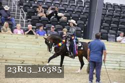 23R13_16385 thumbnail