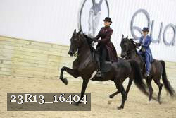 23R13_16404 thumbnail