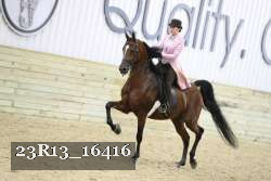 23R13_16416 thumbnail