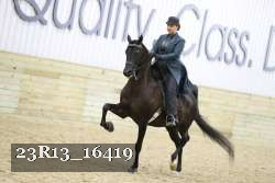 23R13_16419 thumbnail