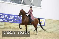 23R13_16425 thumbnail