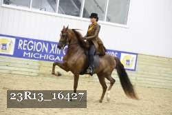 23R13_16427 thumbnail