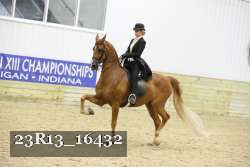 23R13_16432 thumbnail