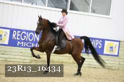 23R13_16434 thumbnail