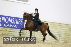 23R13_16435 thumbnail