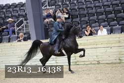 23R13_16438 thumbnail