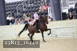 23R13_16440 thumbnail