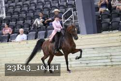 23R13_16441 thumbnail