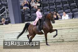 23R13_16442 thumbnail