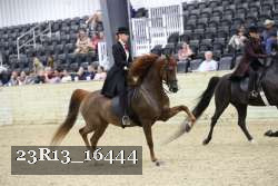 23R13_16444 thumbnail