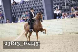 23R13_16445 thumbnail