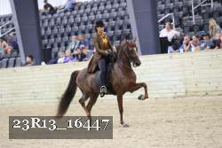 23R13_16447 thumbnail