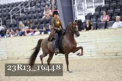 23R13_16448 thumbnail
