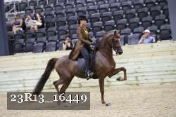 23R13_16449 thumbnail