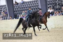 23R13_16450 thumbnail