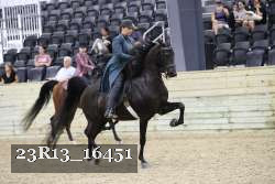 23R13_16451 thumbnail