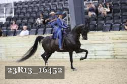 23R13_16452 thumbnail
