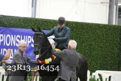 23R13_16454 thumbnail