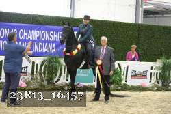 23R13_16457 thumbnail