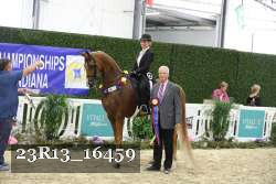 23R13_16459 thumbnail
