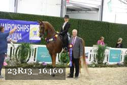 23R13_16460 thumbnail