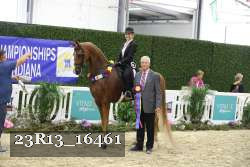 23R13_16461 thumbnail