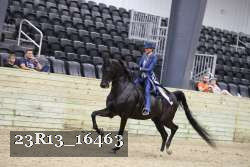 23R13_16463 thumbnail