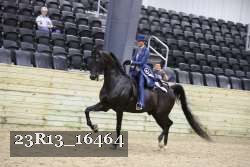 23R13_16464 thumbnail