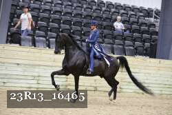 23R13_16465 thumbnail