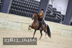 23R13_16466 thumbnail