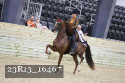 23R13_16467 thumbnail