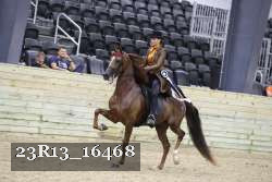 23R13_16468 thumbnail