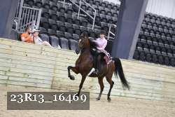 23R13_16469 thumbnail