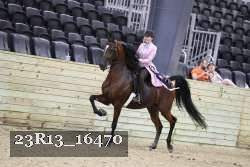 23R13_16470 thumbnail
