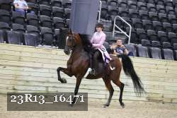 23R13_16471 thumbnail