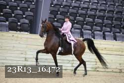 23R13_16472 thumbnail