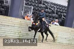 23R13_16473 thumbnail