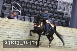 23R13_16474 thumbnail