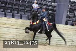 23R13_16475 thumbnail