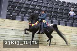 23R13_16476 thumbnail