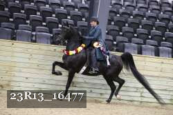 23R13_16477 thumbnail