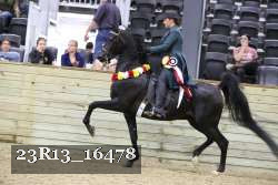 23R13_16478 thumbnail